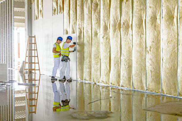 Best Insulation Maintenance and Repair in Elk Point, SD